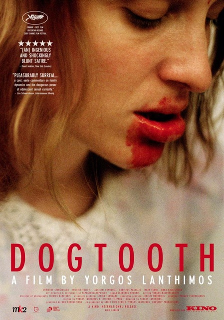 ეშვი / Kynodontas (Dogtooth)