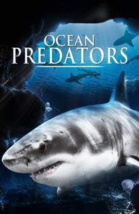 ოკეანის მტაცებლები / Ocean Predators