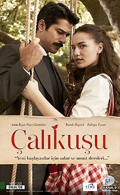 ნარჩიტა / Çalikusu