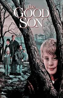 კარგი შვილი (ქართულად) / The Good Son / kargi