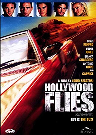მძარცველები ჰოლივუდიდან / Hollywood Flies