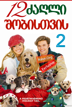 12 ძაღლი შობისთვის 2 / 12 Dogs of Christmas 2: