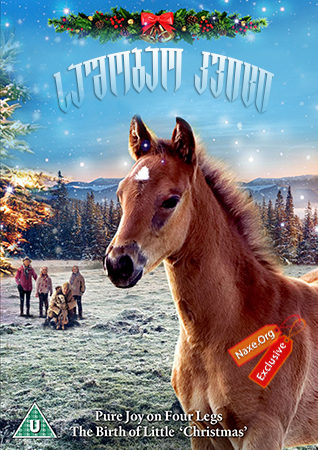 საშობაო კვიცი / The Christmas Colt