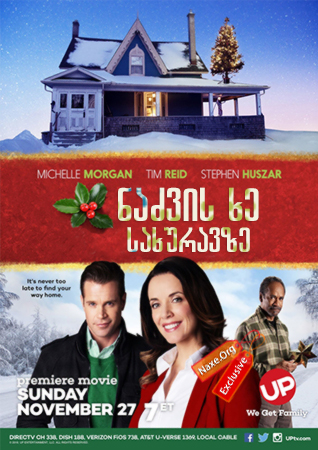 ნაძვის ხე სახურავზე / The Rooftop Christmas Tree