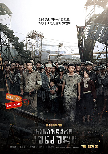 სასაზღვრო კუნძული / The Battleship Island