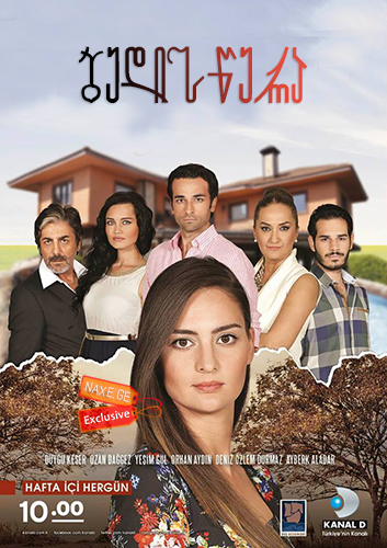 ბედისწერა (ქართულად) / Alın Yazım Dizi Afişi
