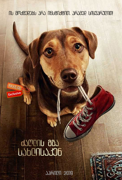 ძაღლის გზა სახლისკენ / A Dog’s Way Home