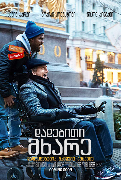 დადებითი მხარე / The Upside