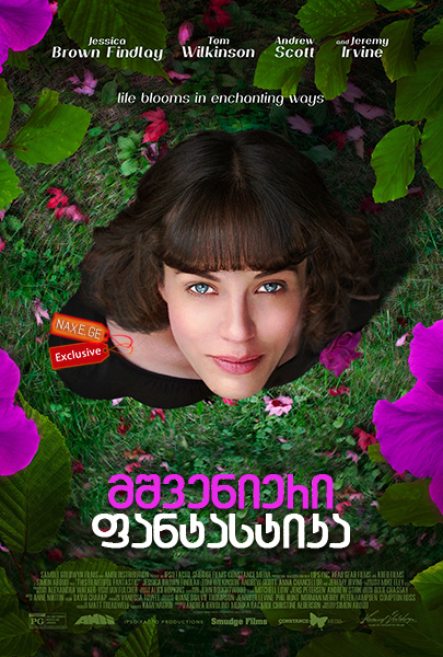მშვენიერი ფანტასტიკა / This Beautiful Fantastic