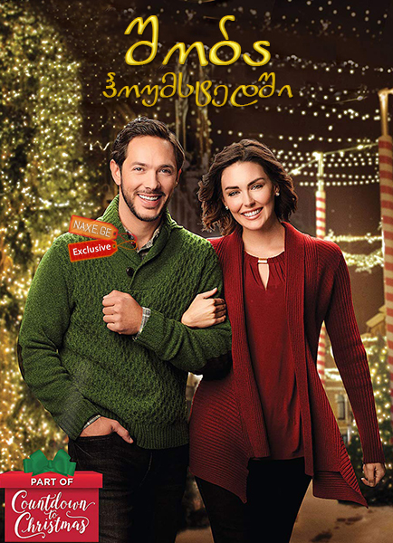 შობა ჰოუმსტედში / Christmas in Homestead