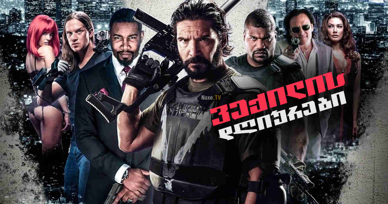 ვექილის დღიურები / Vigilante Diaries / veqilis