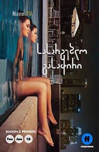 სასარგებლო გასაჭირი / Good Trouble