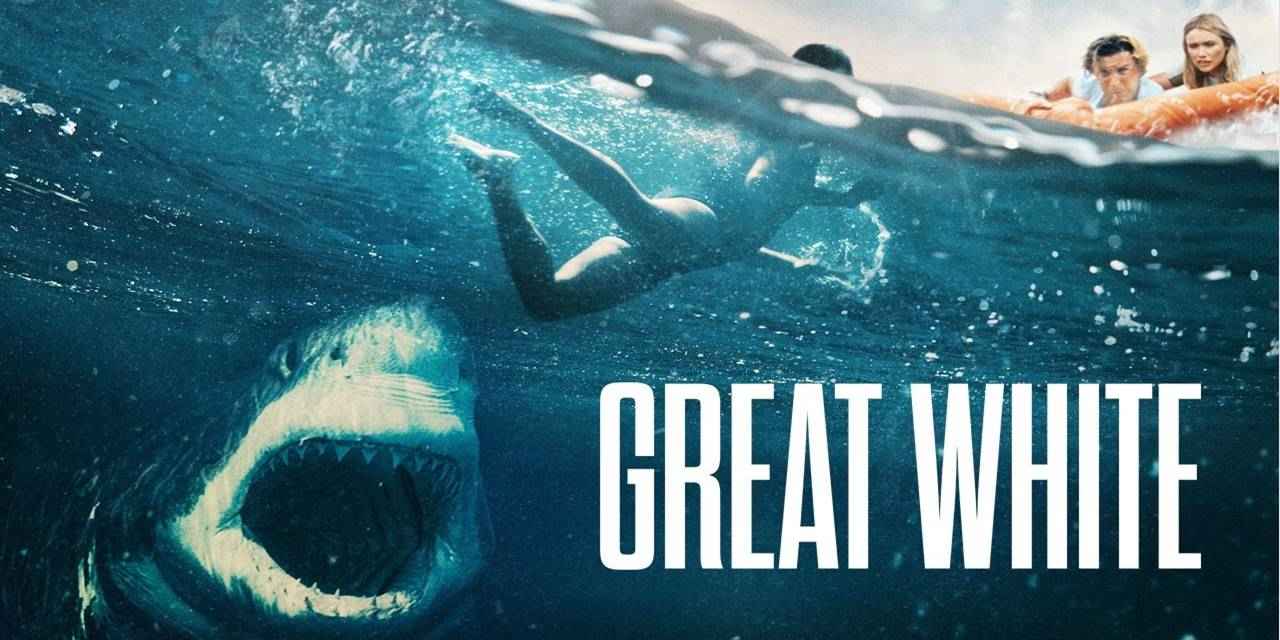 დიდი თეთრი ზვიგენი / Great White