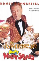 გაიცანი უოლი სპარქსი (ქართულად) / Meet Wally