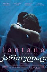 ლანტანა / Lantana