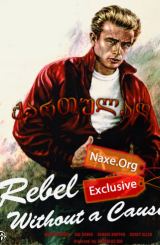 უმიზეზოდ მეამბოხე / Rebel Without a Cause