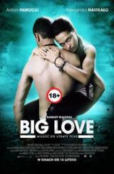 დიდი სიყვარული / Big Love / Большая любовь / didi