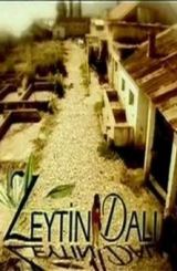 ზეთისხილის ტოტი / Zeytin dali / turquli seriali