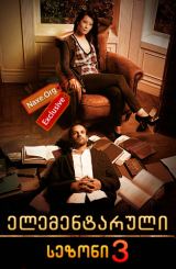 ელემენტარული სეზონი 3 ქართულად / Elementary