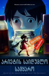 არიეტის საიდუმლო სამყარო / arietis saidumlo