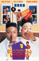 წვეულება სახლში (ქართულად) / House Party