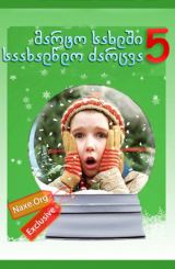 მარტო სახლში 5: საახალწლო ძარცვა / Home Alone: