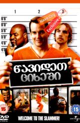 წავიდეთ ციხეში (ქართულად) / Let's Go to Prison