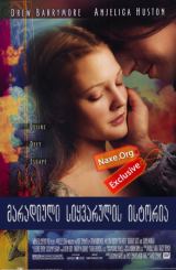 დიდხანს და ბედნიერად ანუ ზღაპარი კონკიაზე /