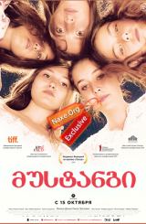 მუსტანგი / Mustang