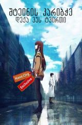 შტეინის კარიბჭე: დეჟა ვუს ტვირთი / shteinis