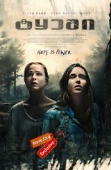 ტყეში / Into the Forest