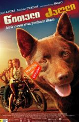 წითელი ძაღლი / Red Dog