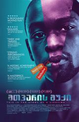 მთვარის შუქი / Moonlight