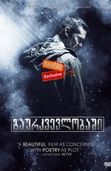 გაურკვევლობაში / In This Gray Place