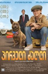 პირველი ძაღლი (ქართულად) / First Dog / pirveli