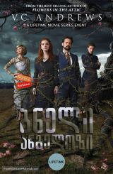 ბნელი ანგელოზი (ქართულად) / Dark Angel