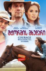 შტორმის მხედარი (ქართულად) / Storm Rider /