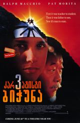 კარატისტი ბიჭუნა 3 / karatisti bichuna 3