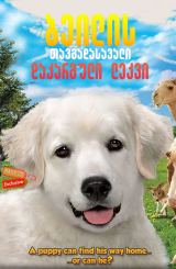 ბეილის თავგადასავალი: დაკარგული ლეკვი /