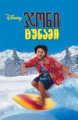 ჯონი ცუნამი / Johnny Tsunami / joni cunami