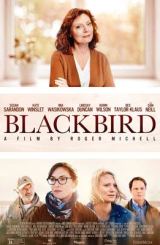 შავი შაშვი / Blackbird / shavi shashvi