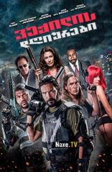 ვექილის დღიურები / Vigilante Diaries / veqilis