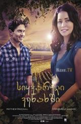 სიყვარული ვენახში / Love in the Vineyard