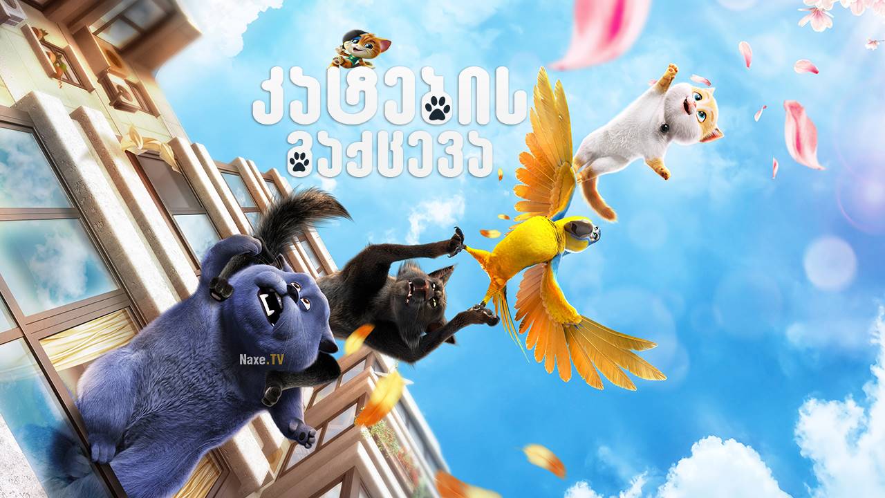 კატების გაქცევა / Cats & Peachtopia