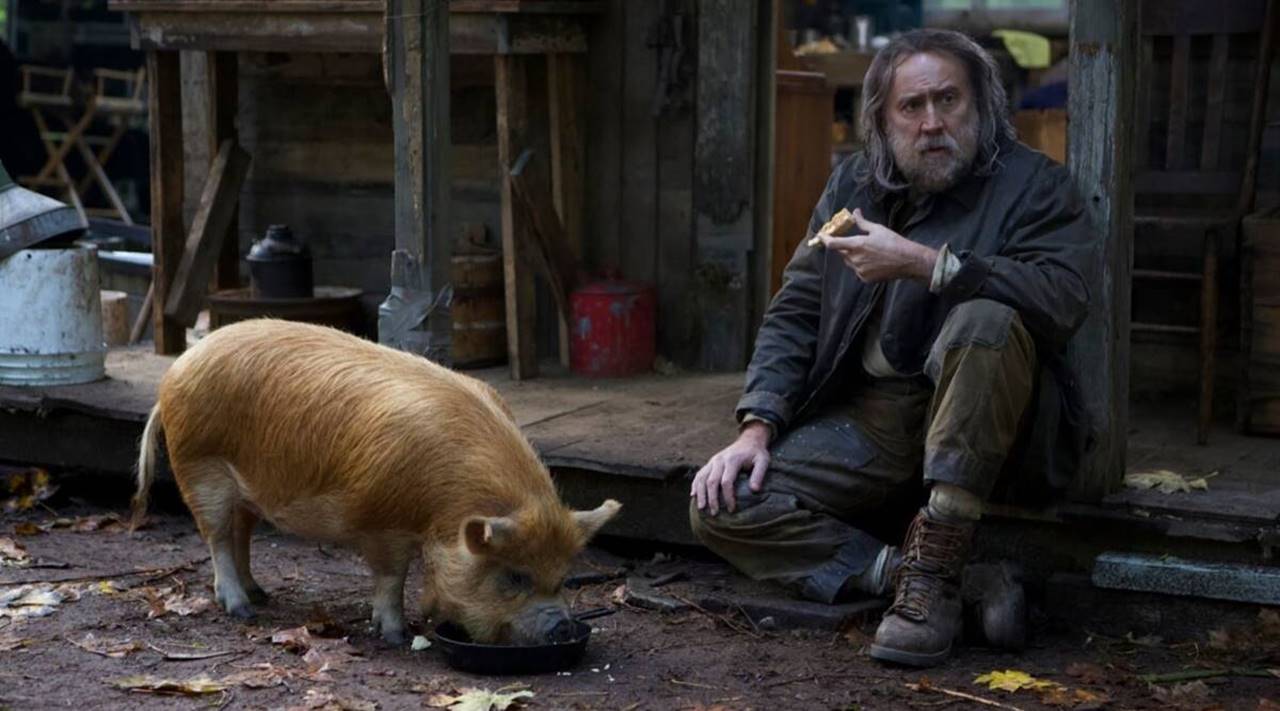 ღორი / Pig