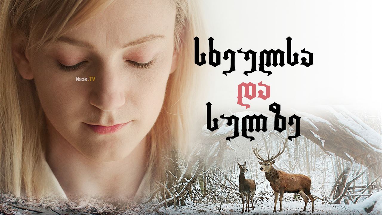 სხეულსა და სულზე / On Body and Soul (Testről és