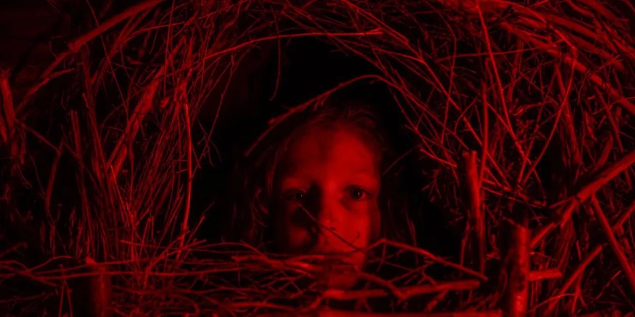 კლასიკური საშინელებათა ისტორია / A Classic Horror