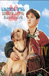 სახლიდან შორს: ყვითელი ძაღლის თავგადასავალი / Far