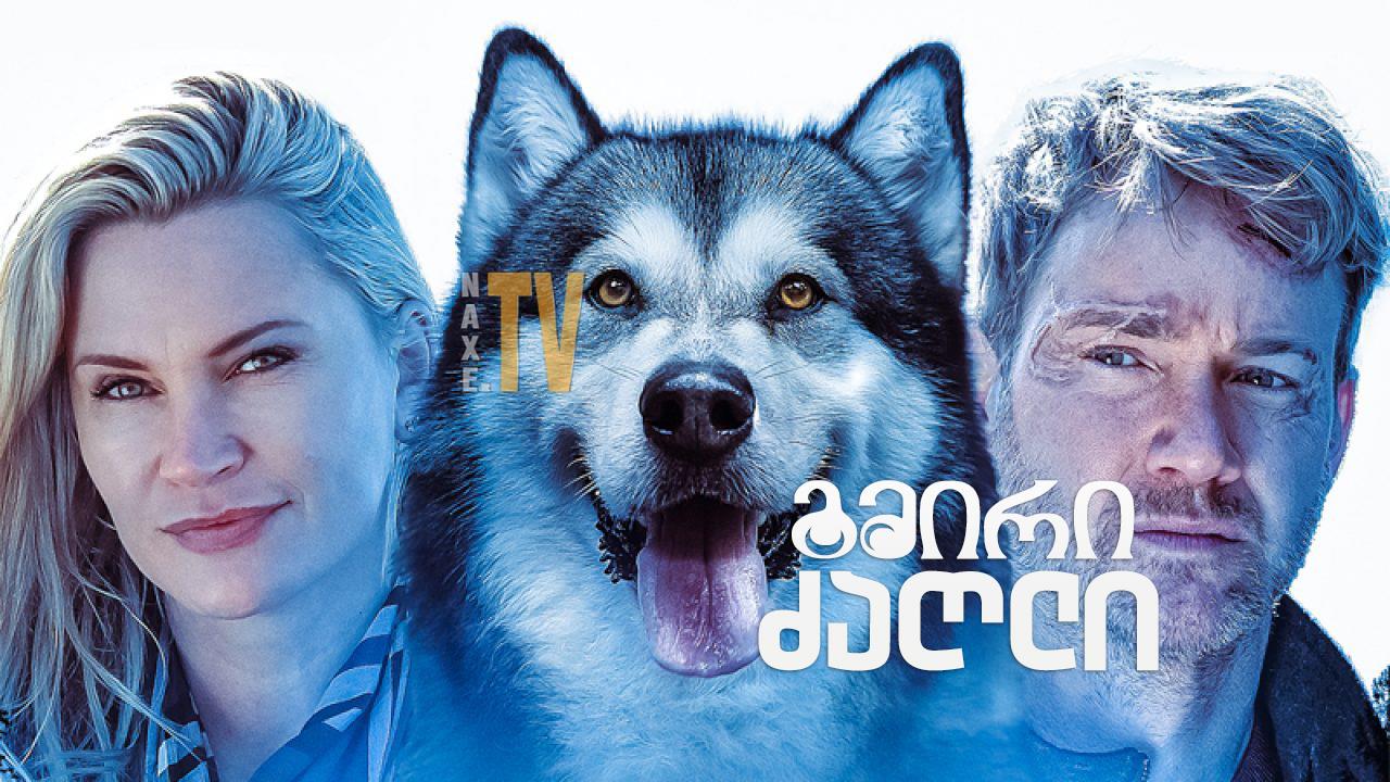 გმირი ძაღლი / Hero Dog: The Journey Home