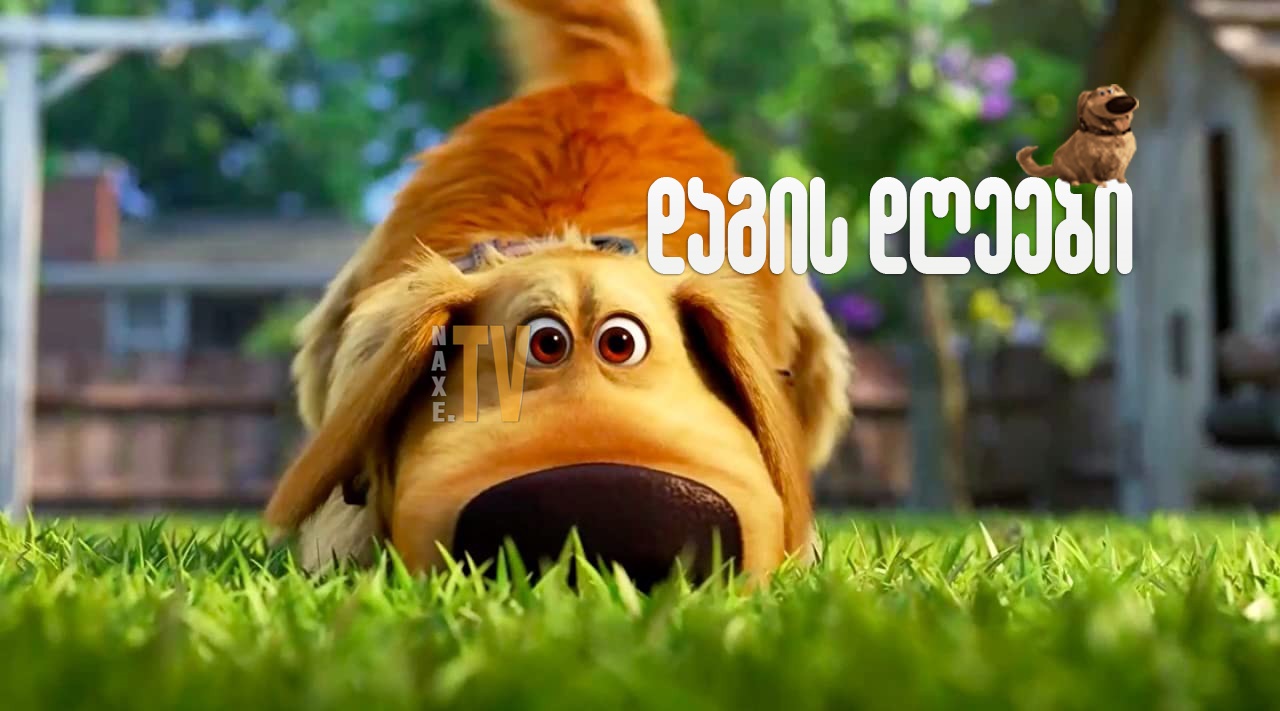 დაგის დღეები / Dug Days